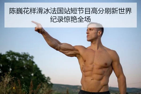 陈巍花样滑冰法国站短节目高分刷新世界纪录惊艳全场 - Leyu
